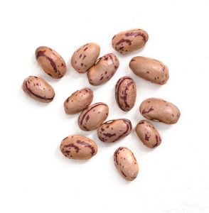 cranberry beans