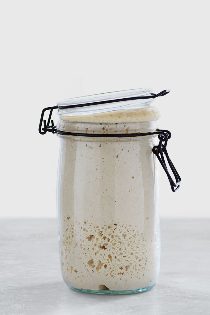 gluten-free sourdough starter