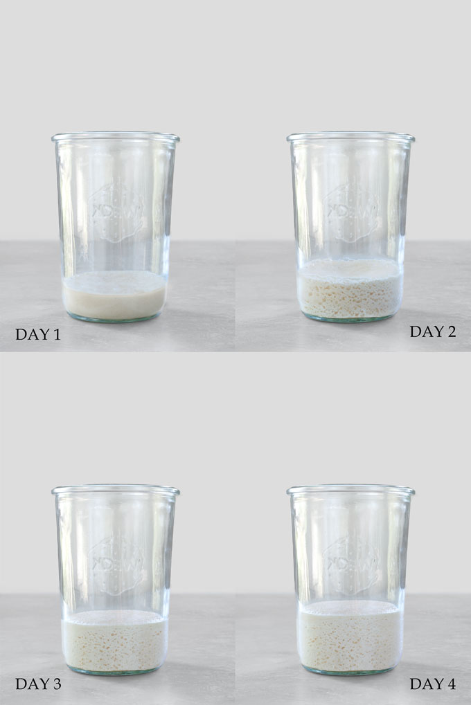how to make gluten-free sourdough starter