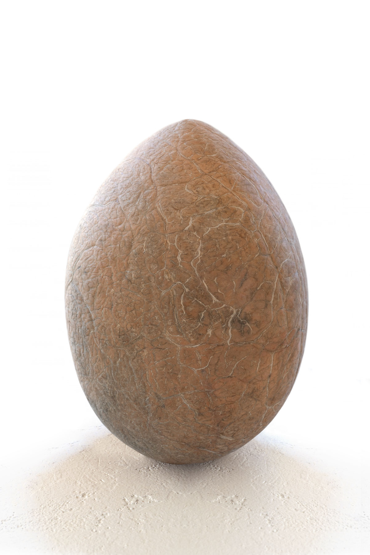 fresh coconut meat