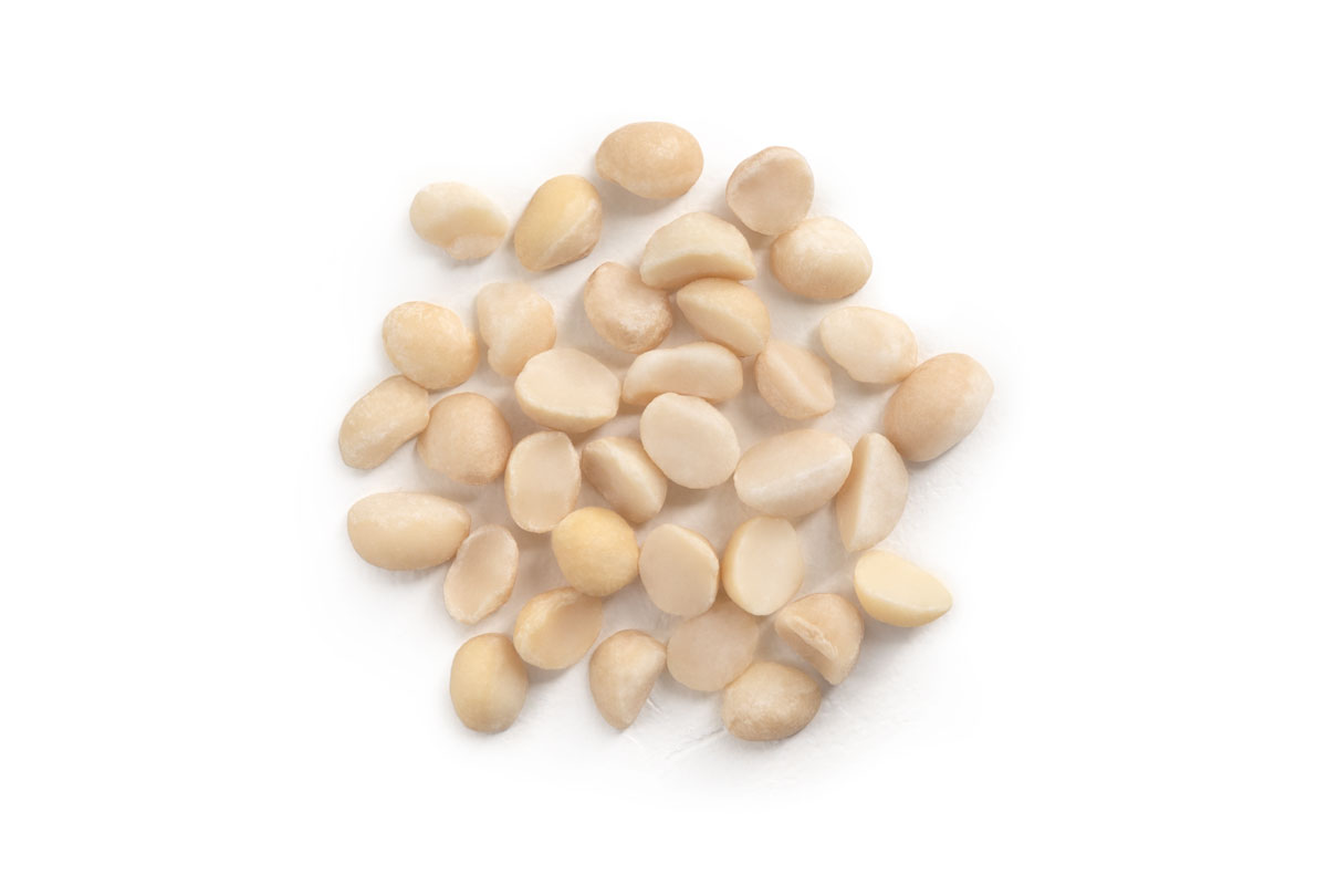 macadamia nuts
