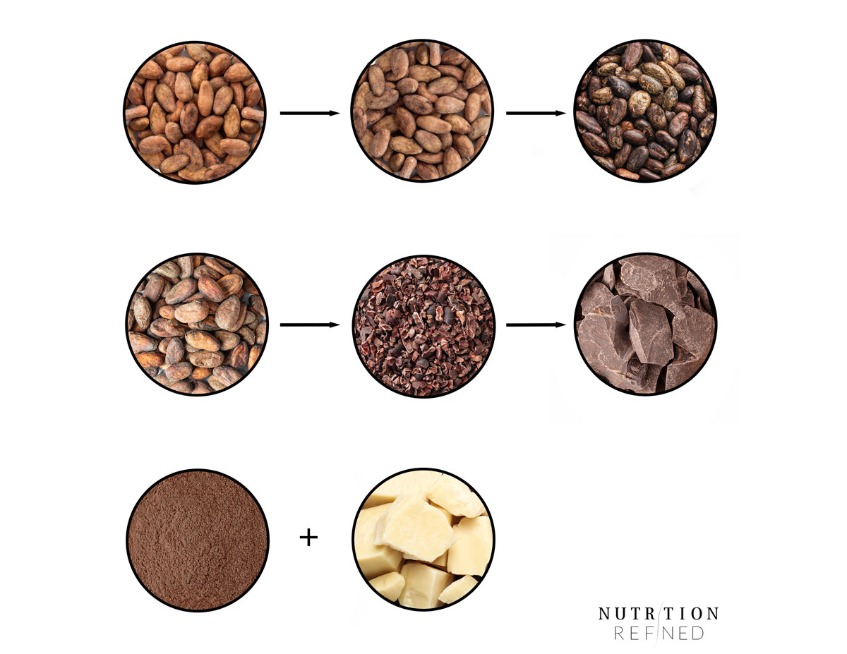 bean to bar making chocolate