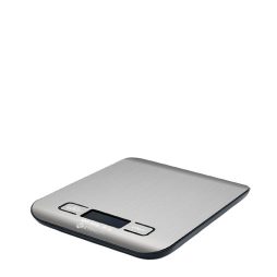 scale